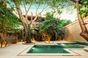 Welcome to Paradise - Luxurious 2 Bedroom Oasis with Pool and Lush Tropical Garden